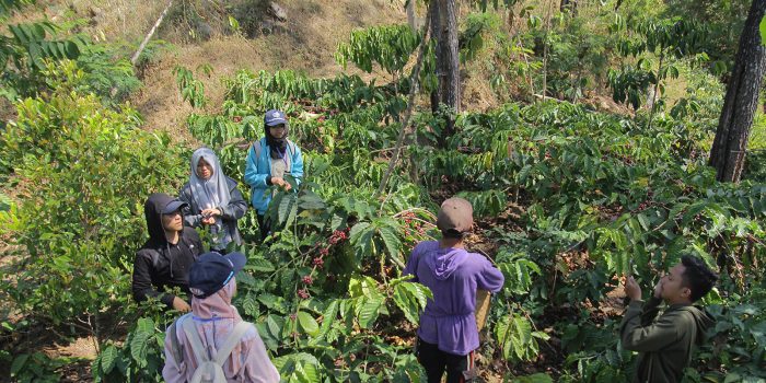 Belajar Di Kebun