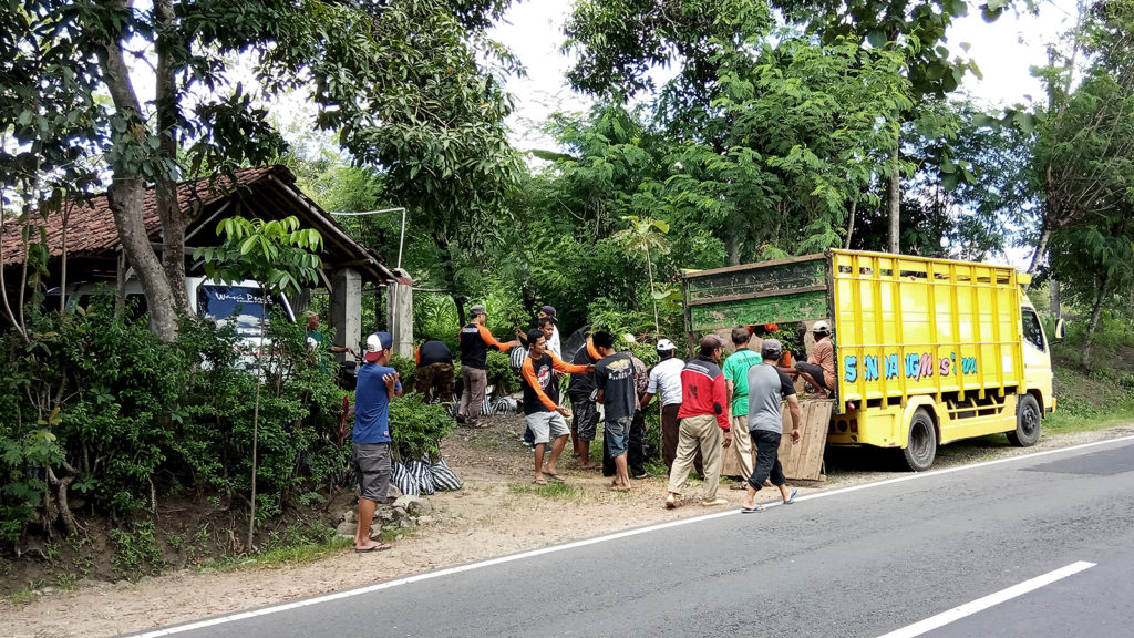 Bibit diturunkan di Mbetal bersama 10.000 bibit pohon lainnya. Penurunan dilakukan oleh anggota Commandan Mbetal dan petani Ngroto.